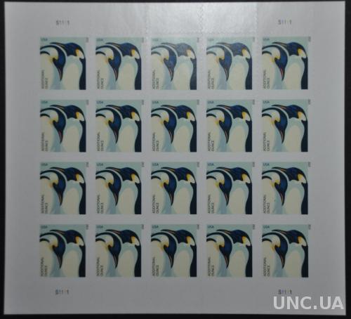 США Фауна Пингвин 2015