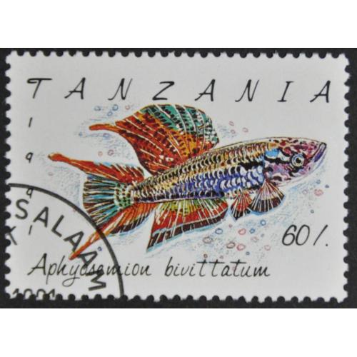 Танзания Фауна Рыбы 1991