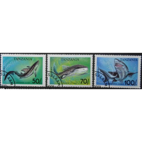 Танзания Морская Фауна Акула Рыбы 1993