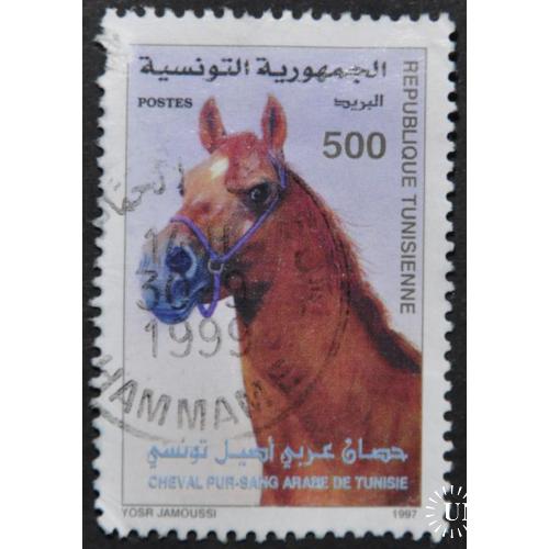 Тунис Фауна Лошадь 1997