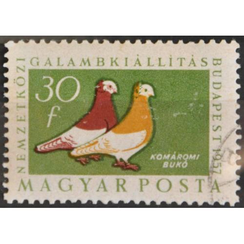 Венгрия Фауна Птицы Голуби 1957
