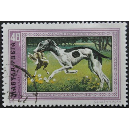 Венгрия Фауна Собаки 1972