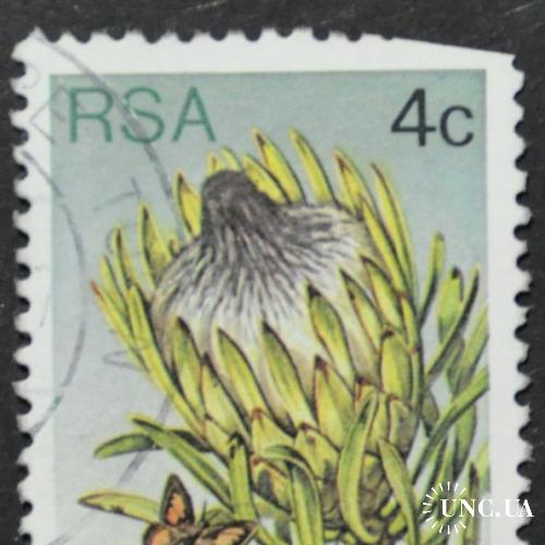Южная Африка Флора Цветы 1977
