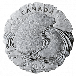 ​У Канаді представили монету із зображенням білого ведмедя