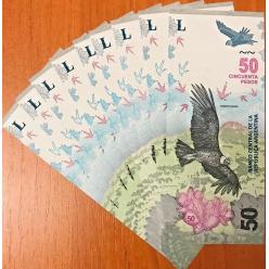 ​В готівковому обігу Аргентини з'явилися оновлені купюри