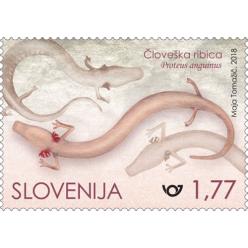 ​Почта Словении представила марку, на которой изображен дракон-олм