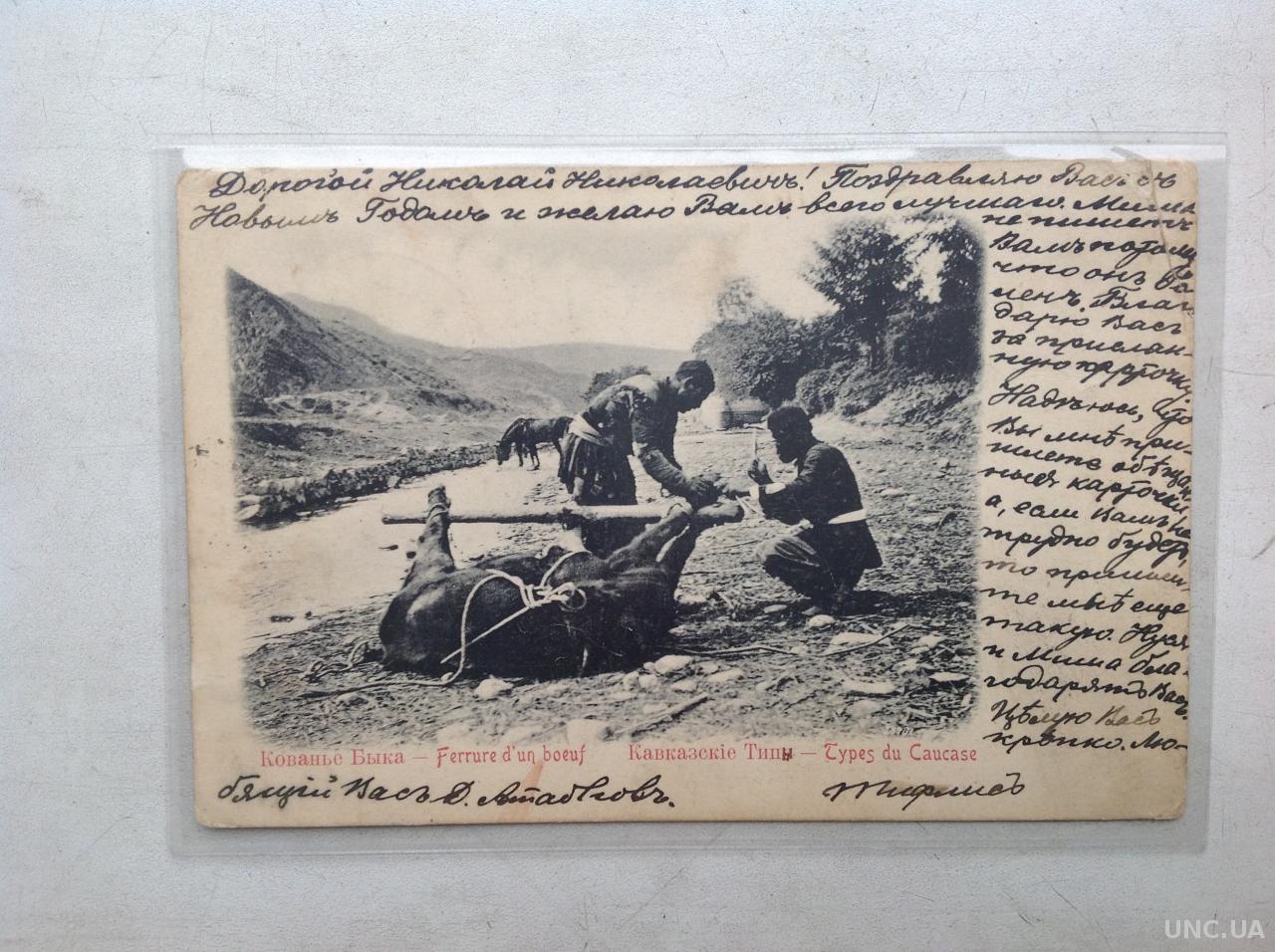 Старинная открытка открытка «Кавказские типы. Кованье быка»